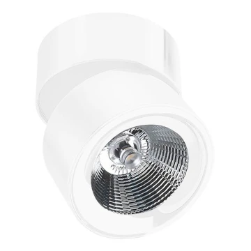 Azzardo AZ1618 - LED Spotlight SCORPIO 1xLED/10W/230V