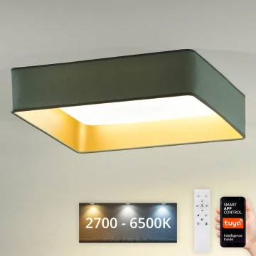 Brilagi - Dimmbare LED-Deckenleuchte VELVET SQUARE SMART LED/36W/230V 2700-6500K Wi-Fi Tuya + Fernbedienung Minze