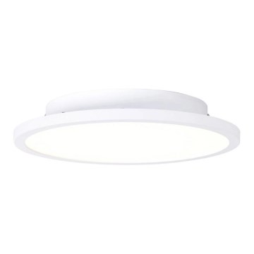 Brilliant - LED-Deckenleuchte BUFFI LED/13W/230V d 25 cm 2700K