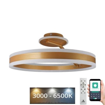 Dimmbare LED-Aufbauleuchte LED/86W/230V 3000-6500K golden + Fernbedienung