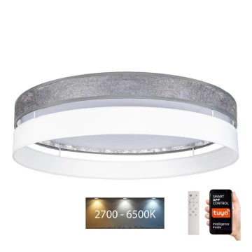 Dimmbare LED-Deckenleuchte LIMA LED/36W/230V 2700-6500K Wi-Fi Tuya + Fernbedienung silbern/weiß