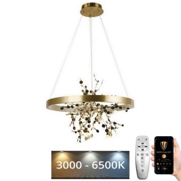 Dimmbare LED-Hängeleuchte an Schnur LED/40W/230V 3000-6500K golden + Fernbedienung
