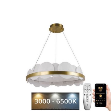 Dimmbare LED-Hängeleuchte an Schnur LED/40W/230V 3000-6500K golden + Fernbedienung