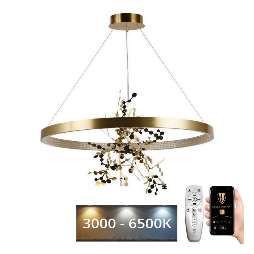 Dimmbare LED-Hängeleuchte an Schnur LED/55W/230V 3000-6500K golden + Fernbedienung