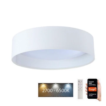 Dimmbare LED-Leuchte SMART GALAXY LED/24W/230V d. 45 cm Wi-Fi Tuya + Fernbedienung