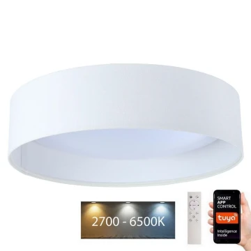 Dimmbare LED-Leuchte SMART GALAXY LED/36W/230V d. 55 cm Wi-Fi Tuya + Fernbedienung