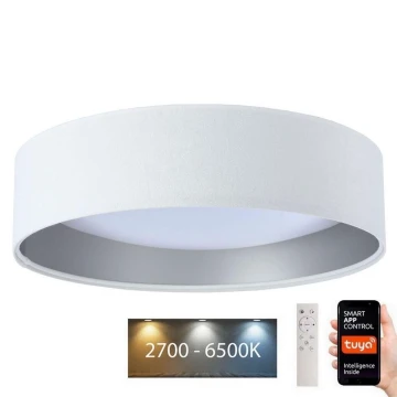 Dimmbare LED-Leuchte SMART GALAXY LED/36W/230V d. 55 cm Wi-Fi Tuya + Fernbedienung