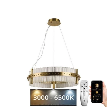 Dimmbarer LED-Kristall-Kronleuchter an Schnur LED/40W/230V 3000-6500K + Fernbedienung