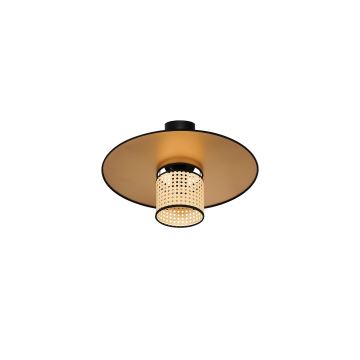 Duolla - Aufbauleuchte TOKYO RATTAN 1xE27/15W/230V golden/Rattan