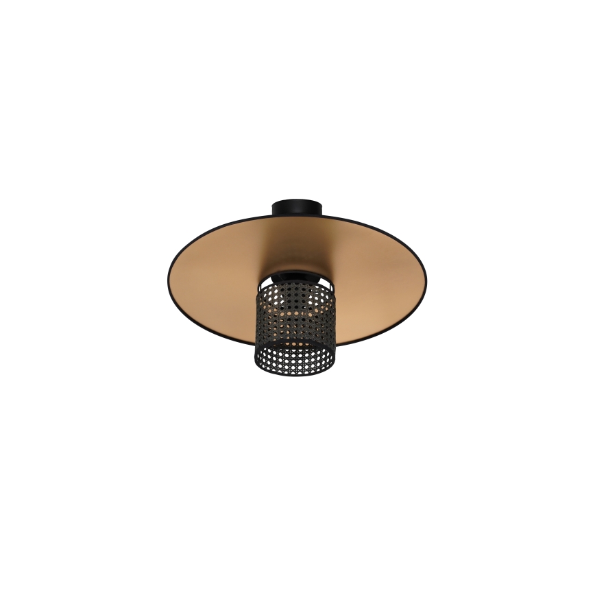 Duolla - Aufbauleuchte TOKYO RATTAN 1xE27/15W/230V golden/schwarz