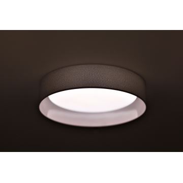 Duolla - LED-Deckenleuchte ROLLER LED/24W/230V hellgrau