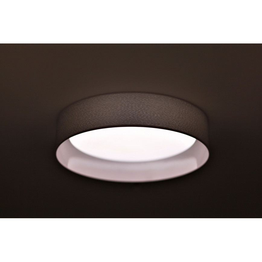 Duolla - LED-Deckenleuchte ROLLER LED/24W/230V hellgrau