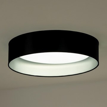 Duolla - LED-Deckenleuchte ROLLER LED/24W/230V schwarz/silbern