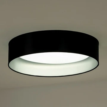 Duolla - LED-Deckenleuchte ROLLER LED/24W/230V schwarz/silbern