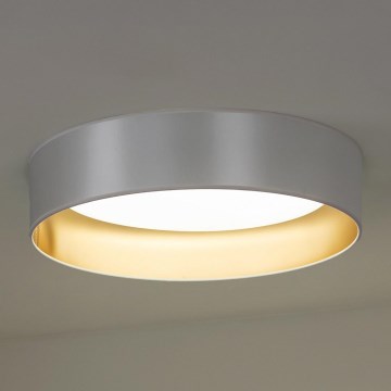 Duolla - LED-Deckenleuchte ROLLER LED/24W/230V silbern/golden