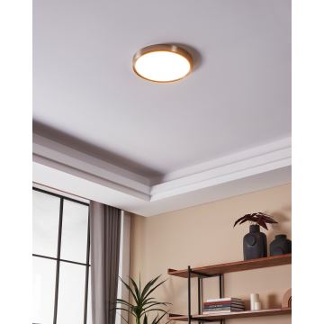 Eglo - Dimmbare LED-Deckenleuchte für Badezimmer LED/19,5W/230V 2700-6500K IP44 ZigBee