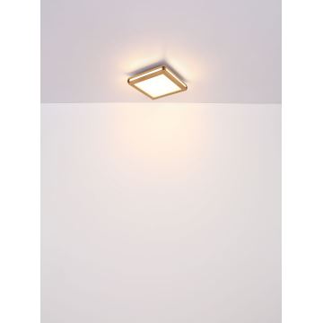 Globo - LED-Deckenleuchte LED/12W/230V 30x30 cm