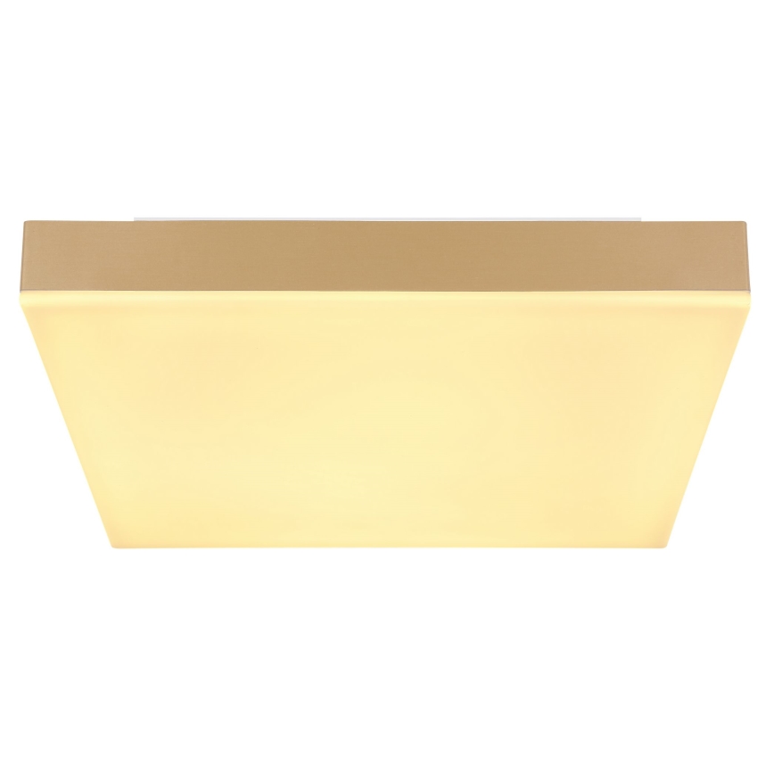 Globo - LED-Deckenleuchte LED/18W/230V 30x30 cm golden