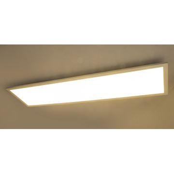 Globo - LED Ceiling Light LED/40W/230V