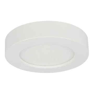 Globo - Dimmbare LED-Leuchte für Badezimmer LED/18W/230V 3000/4000/6000K IP44