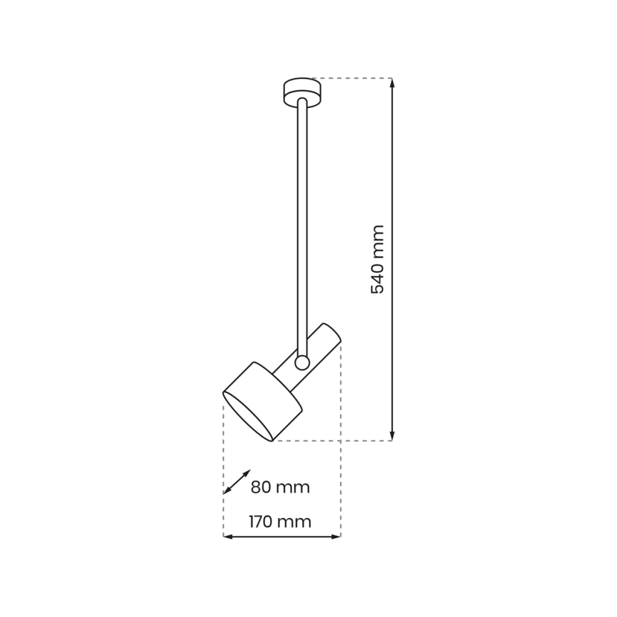 Hängeleuchte an Stange LINTERNA 1xGX53/12W/230V schwarz