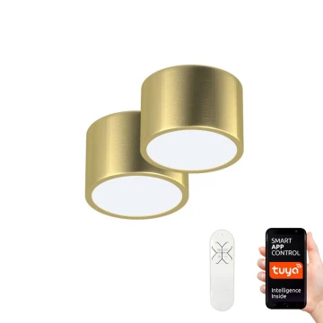 Immax Neo 07127L-BD - Set 2x Dimmbare LED-Deckenleuchte RONDATE golden 2xLED/12W/230V + Fernbedienung Tuya