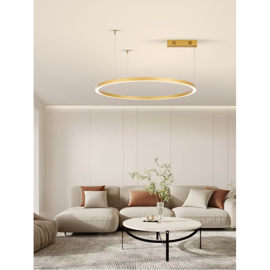 Immax NEO 07217L - Dimmbare LED-Hängeleuchte an Schnur FINO LED/60W/230V 80 cm golden Tuya + Fernbedienung