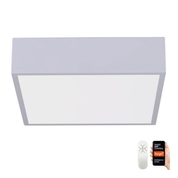 Immax NEO 07238L - Dimmbare LED-Deckenleuchte CANTO LED/22W/230V weiß Tuya + Fernbedienung