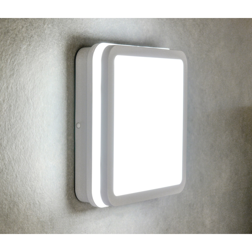 LED-Außenleuchte mit Sensor BENO LED/24W/230V IP54 weiß