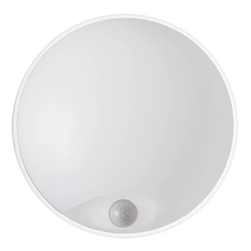 LED Außenwandleuchte LED/14W/230V IP54