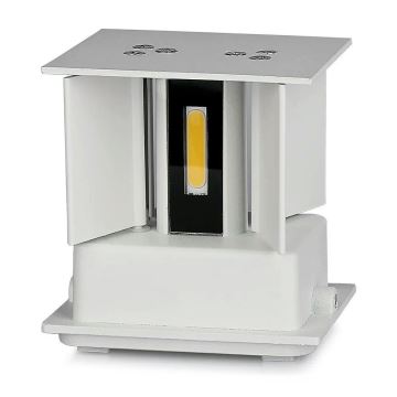 LED- Außenwandleuchte LED/5W/230V 4000K IP65 weiß