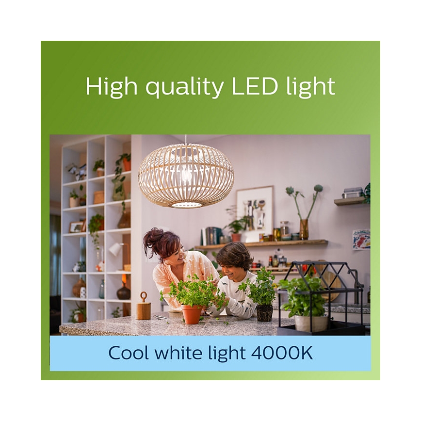 LED Birne VINTAGE Philips A60 E27/4W/230V 4000K