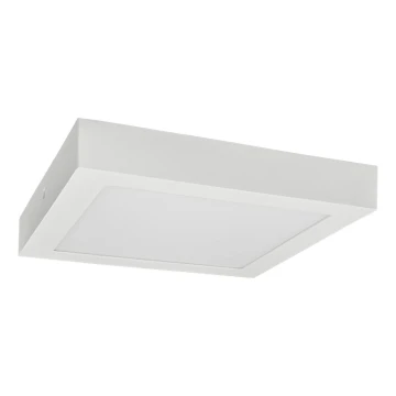 LED-Deckenleuchte FENIX LED/12W/230V 2800K 17 cm