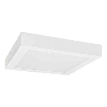 LED-Deckenleuchte FENIX LED/18W/230V 3800K 22,5 cm schneeweiß