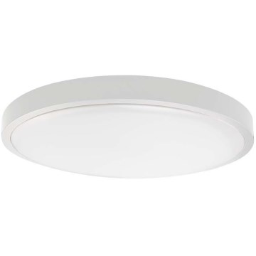 LED-Deckenleuchte für Badezimmer LED/18W/230V IP44 6500K d 25 cm weiß