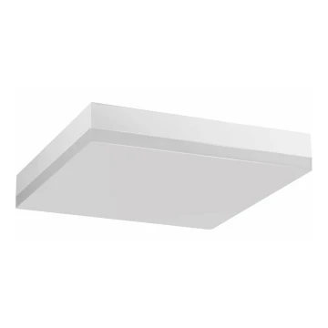 LED-Deckenleuchte für das Badezimmer LED/24W/230V 4000K 28 cm IP44