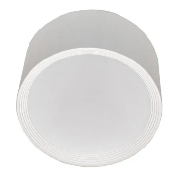 LED-Deckenleuchte für das Badezimmer OSRAM PERCI LED/20W/230V IP40 2700K weiß