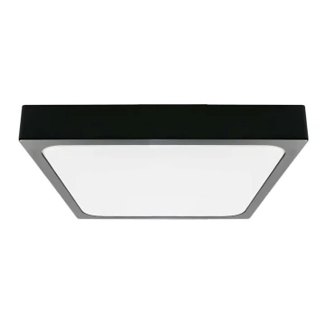 LED-Deckenleuchte fürs Badezimmer LED/18W/230V 3000K IP44 schwarz