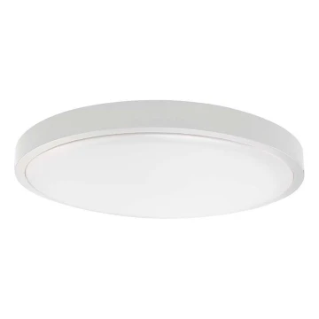 LED-Deckenleuchte fürs Badezimmer LED/18W/230V 6500K IP44 weiß