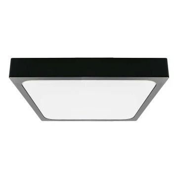 LED-Deckenleuchte fürs Badezimmer LED/30W/230V 3000K IP44 schwarz