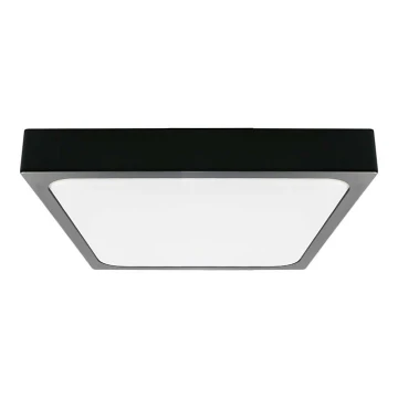 LED-Deckenleuchte fürs Badezimmer LED/30W/230V 4000K IP44 schwarz