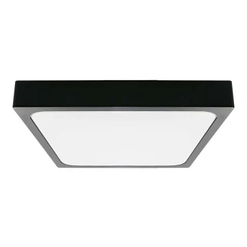 LED-Deckenleuchte fürs Badezimmer LED/30W/230V 6500K IP44 schwarz