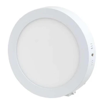 LED Deckenleuchte LED/12W/230V