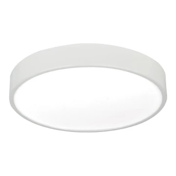 LED Deckenleuchte LED/12W/230V