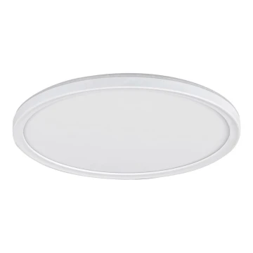 LED Deckenleuchte PAVEL LED/18W/230V