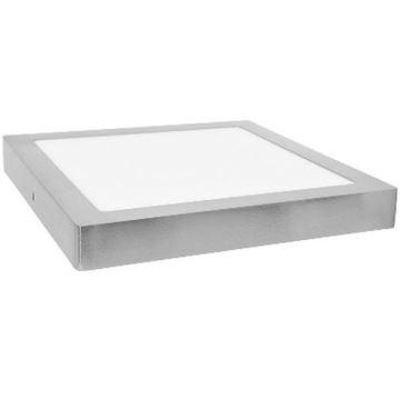 LED Deckenleuchte RAFA LED/12W/230V 2700K