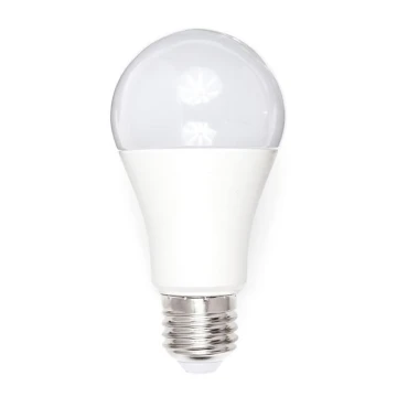 LED Glühbirne A80 E27/18W/230V 3000K