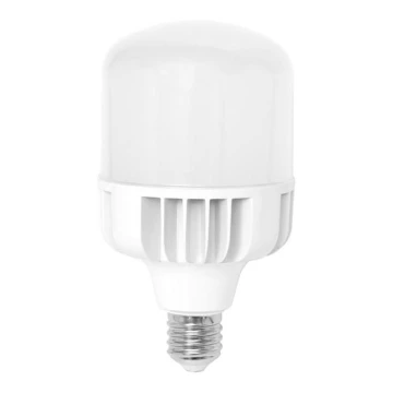 LED Glühbirne E40/50W/230V - Ecolite