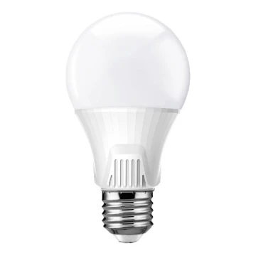 LED-Glühbirne mit Sensor E27/9W/230V 6500K