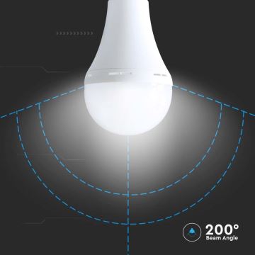 LED-Glühlampe mit Notfallmodus A90 E27/15W/230V 4000K